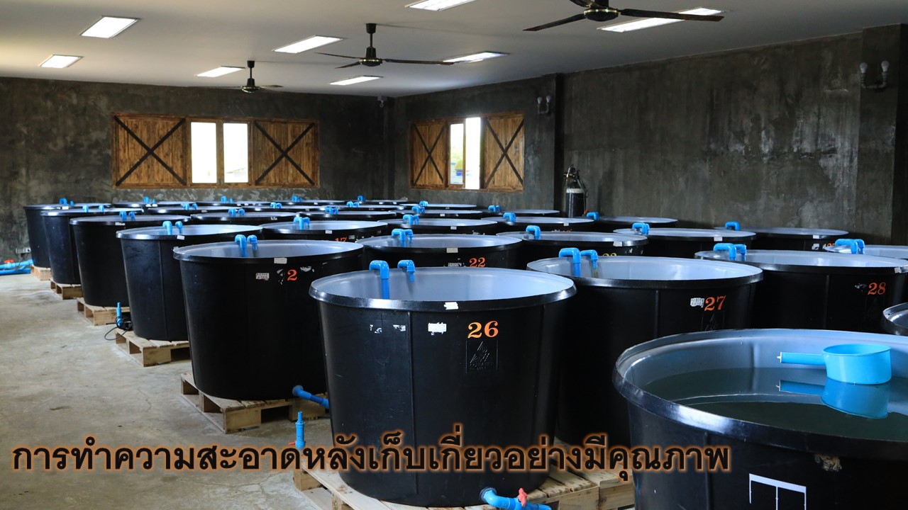 ไทย2 ไทย2